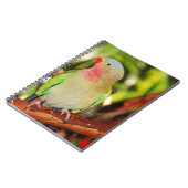 グリーンプリンセスパラケートプリント ノートブック (左側)