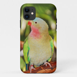 グリーンプリンセスパラケートプリント iPhone 11 ケース