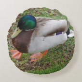 グリーンヘッドアヒル丸い枕 ラウンドクッション (正面)