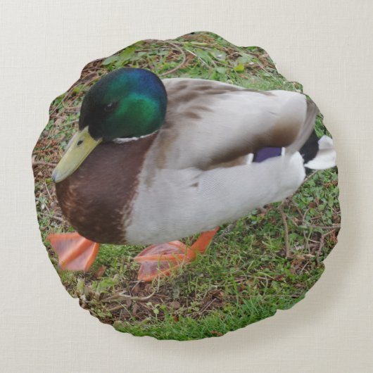 グリーンヘッドアヒル丸い枕 ラウンドクッション (裏面)