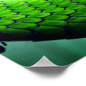 グリーンヘビ ポスター (角)