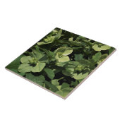 グリーンヘルボア タイル (側面)