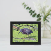 グリーンヘロン ポストカード (スタンド正面)