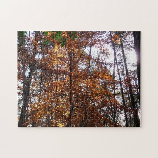 グリーンベルトの紅葉の木と陽の光 ジグソーパズル (横)