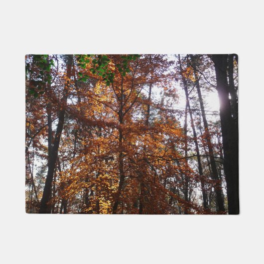 グリーンベルトの紅葉の木と陽の光 ドアマット (正面)