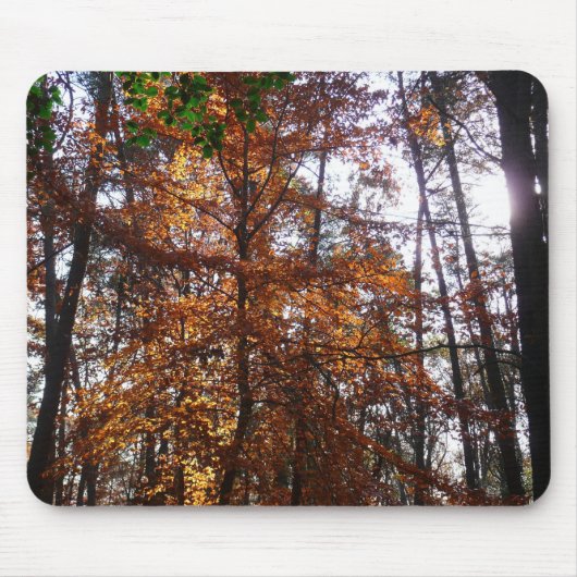 グリーンベルトの紅葉の木と陽の光 マウスパッド (正面)