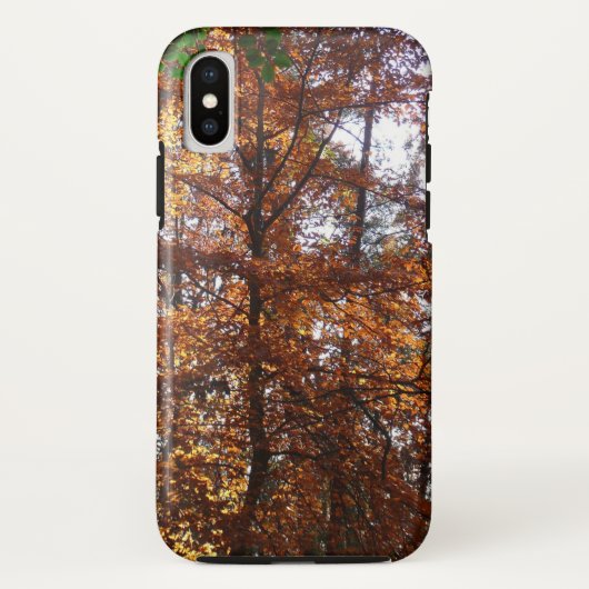 グリーンベルトの紅葉の木と陽の光 Case-Mate iPhoneケース (裏面)