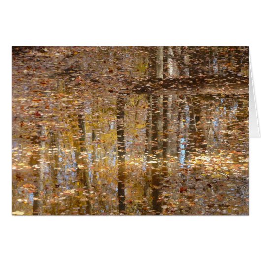 グリーンベルトパークでのスティルクリークでの反射 (正面横)