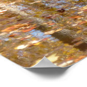 グリーンベルトパークでのスティルクリークでの反射 ポスター (角)