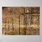 グリーンベルトパークでのスティルクリークでの反射 ポスター (正面)
