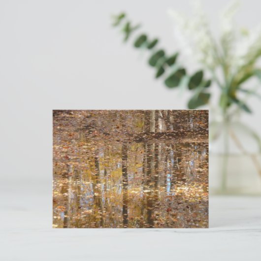 グリーンベルトパークでのスティルクリークでの反射 ポストカード (スタンド正面)