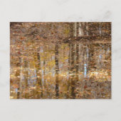 グリーンベルトパークでのスティルクリークでの反射 ポストカード (正面)