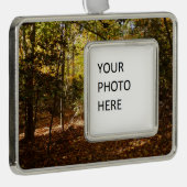 グリーンベルトパーク秋Iメリーランドランドランドランドランドスケープ シルバープレートフレームオーナメント (右)