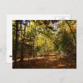 グリーンベルトパーク秋Iメリーランドランドランドランドランドスケープ ポストカード (正面/裏面)