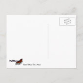 グリーンベルトパーク秋Iメリーランドランドランドランドランドスケープ ポストカード (裏面)