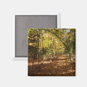 グリーンベルトパーク秋Iメリーランドランドランドランドランドスケープ マグネット (正面/裏面)