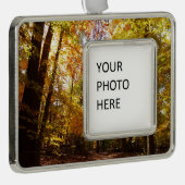グリーンベルトパーク秋IIメリーランド自然シーン シルバープレートフレームオーナメント (右)