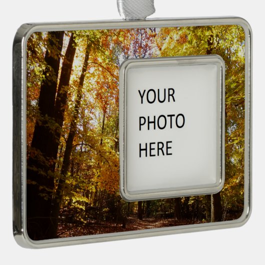 グリーンベルトパーク秋IIメリーランド自然シーン シルバープレートフレームオーナメント (右)