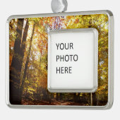グリーンベルトパーク秋IIメリーランド自然シーン シルバープレートフレームオーナメント (左)