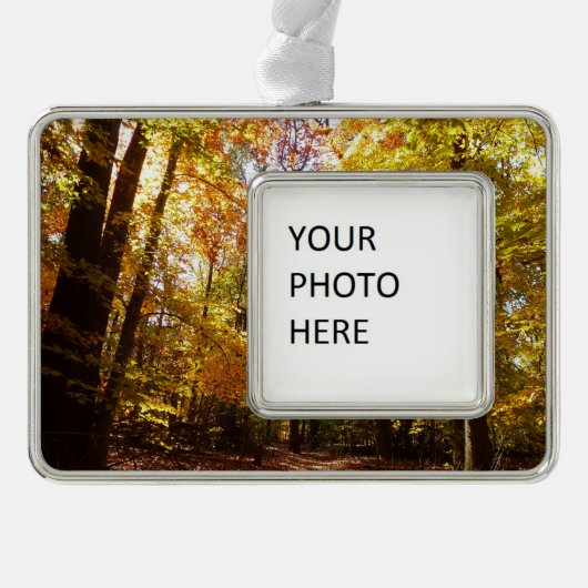 グリーンベルトパーク秋IIメリーランド自然シーン シルバープレートフレームオーナメント (正面)