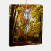 グリーンベルトパーク秋IIメリーランド自然シーン セラミックオーナメント (右)