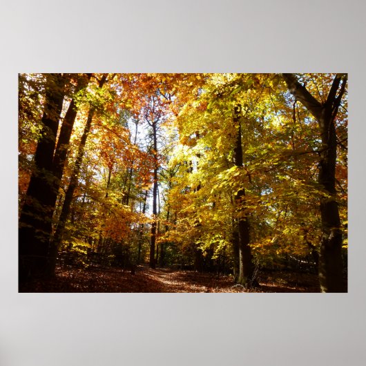 グリーンベルトパーク秋IIメリーランド自然シーン ポスター (正面)