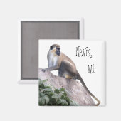 グリーンベルベット猿 マグネット (正面/裏面)