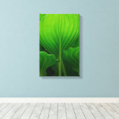 グリーンホスタ葉ズ キャンバスプリント (インサイチュ (ウッドフロア))