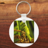 グリーンホッパー キーホルダー (正面)