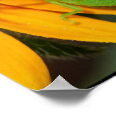 グリーンホッパー ポスター (角)