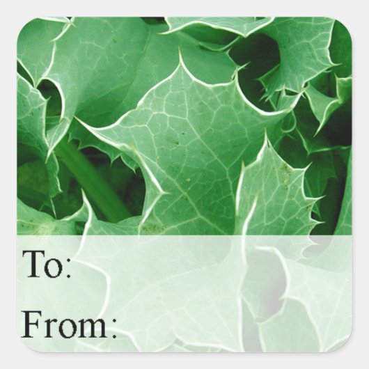 グリーンホリー葉ズクリスマスプレゼントラベル スクエアシール (正面)