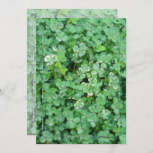 グリーンホワイトシャムロックズカスタム招待状 招待状 (正面/裏面)