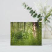 グリーンホーステールの写真 シーズンポストカード (スタンド正面)