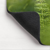 グリーンホーステールの写真 マウスパッド (コーナー)