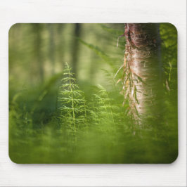 グリーンホーステールの写真 マウスパッド