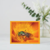 グリーンホーネット ポストカード (スタンド正面)