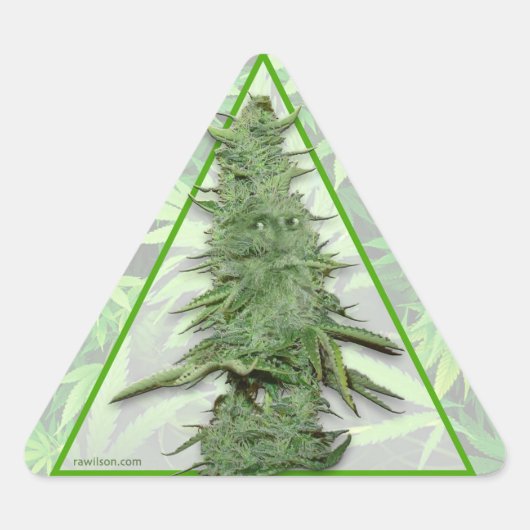 グリーンボブステッカー(20) 三角形シール (正面)