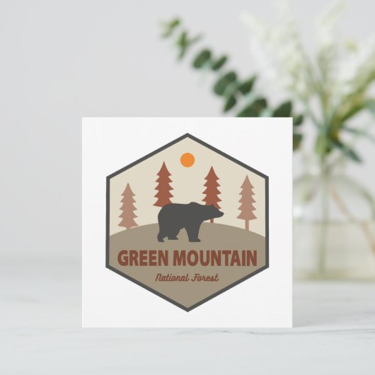 グリーンマウンテンナショナルフォレストベア (スタンド正面)