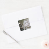 グリーンマン スクエアシール (封筒)