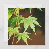 グリーンメープ日本のル葉ブライダルシャワー 招待状 (裏面)