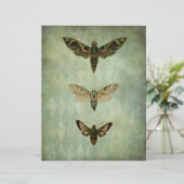 グリーンモスヴィンテージスタイルスクラップブックエフェメラ (スタンド正面)