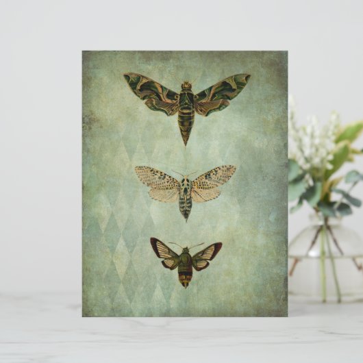 グリーンモスヴィンテージスタイルスクラップブックエフェメラ (スタンド正面)