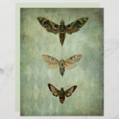 グリーンモスヴィンテージスタイルスクラップブックエフェメラ (正面/裏面)