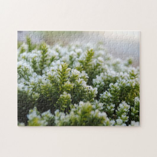 グリーンモス美霜の降りたしい秋の植物マクロ ジグソーパズル (横)