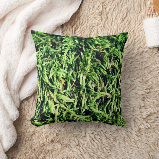 グリーンモス自然 クッション (ブランケット)