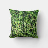 グリーンモス自然 クッション (正面)