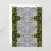 グリーンモス&アース自然アート ポストカード (正面/裏面)