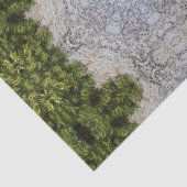 グリーンモス&アース自然アート 薄葉紙 (詳細)