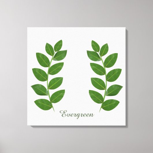 グリーンモダンベイ葉 キャンバスプリント (正面)