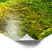 グリーンライスフィールドファーム フォトプリント            (角)